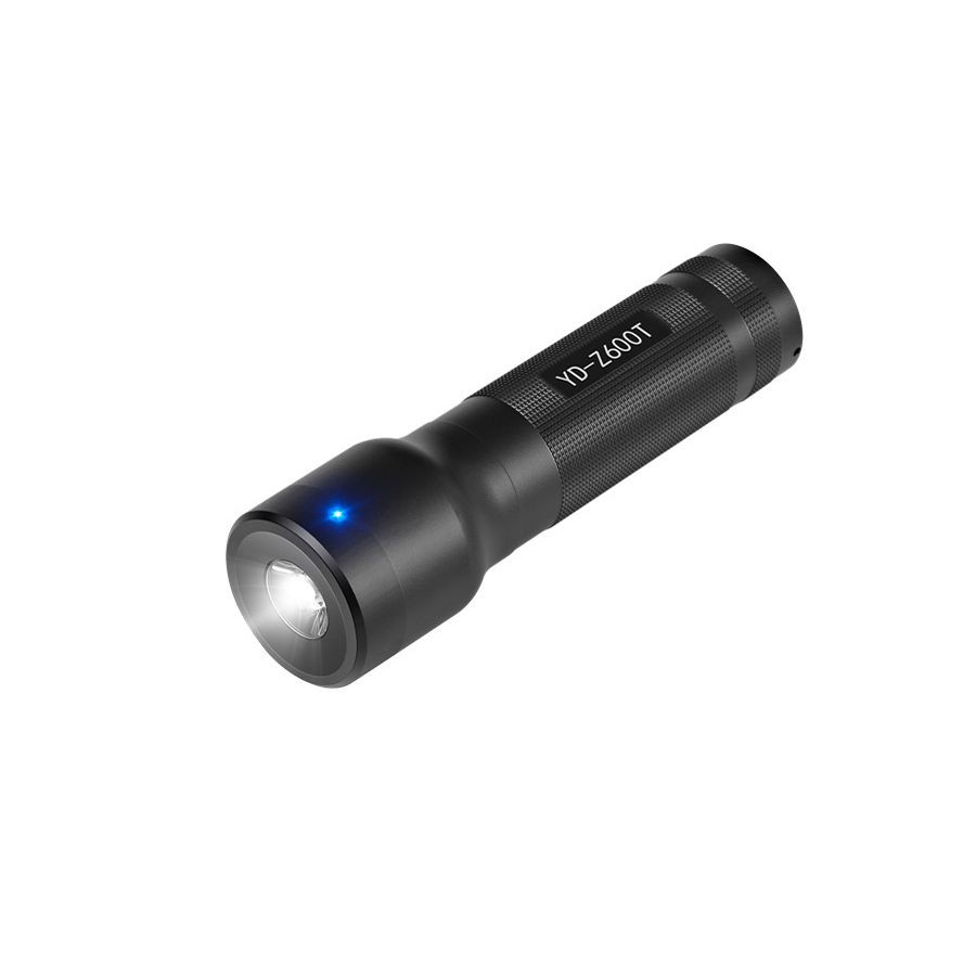 Degiklio zondo apsaugos stebėjimo sistema